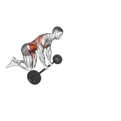 Met barbell