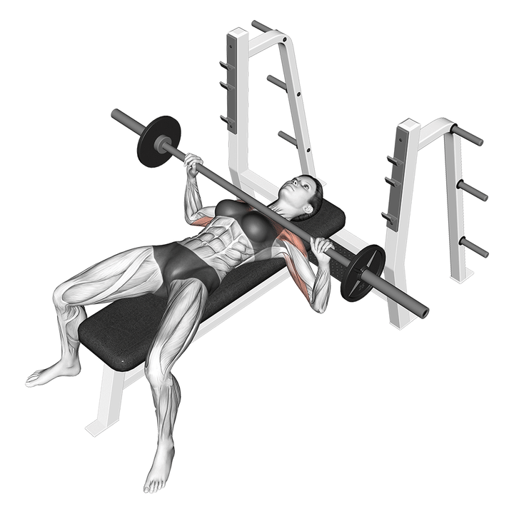 Animatie van de bench press, uitgevoerd door een vrouw