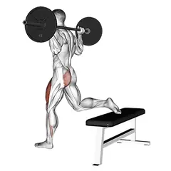 Met barbell