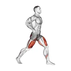 Split squat