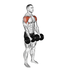 Front raise