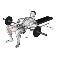 Hip thrust