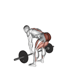 Romanian deadlift