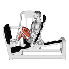 Op de leg press