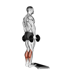 Met dumbbell