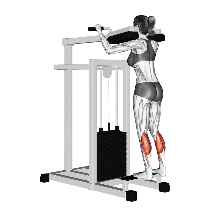 Animatie van de calf raises, uitgevoerd door een vrouw