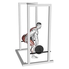 Rack pull