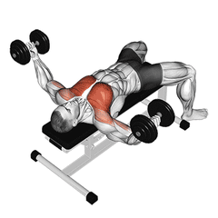 Dumbbell fly