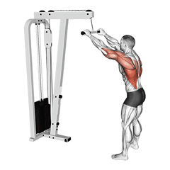 Straight-arm pulldown