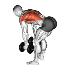 Twee dumbbells