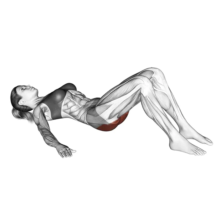 Animatie van de glute bridge, uitgevoerd door een vrouw