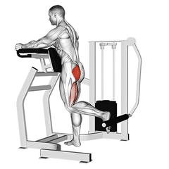 Hip extension machine