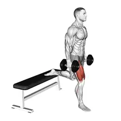 Bulgarian split squat