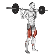 Squat