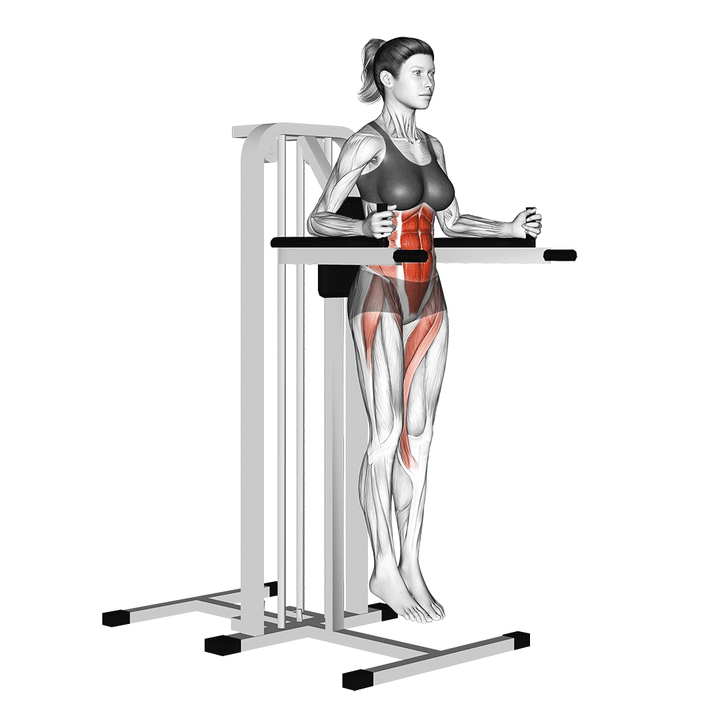 Animatie van de hanging knee raise, uitgevoerd door een vrouw