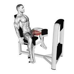 Adductor