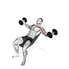 Incline fly