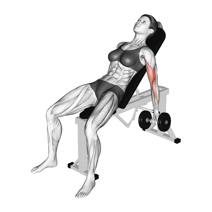 Animatie van de incline dumbbell curl, uitgevoerd door een vrouw