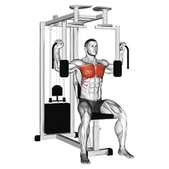 Pec deck
