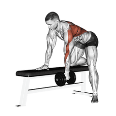 Dumbbell row