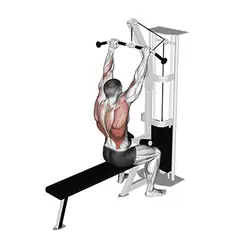 V-bar (close grip)