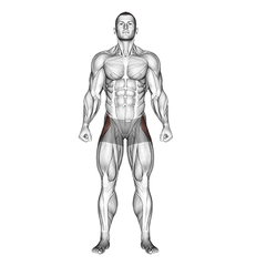Hip abductor