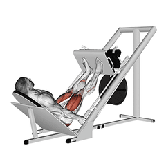 Leg press