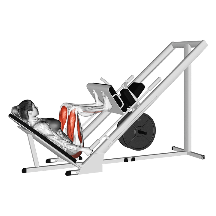 Animatie van de leg press, uitgevoerd door een vrouw