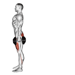 Reverse lunge