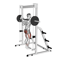 Smith machine