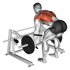 Iso-lateral