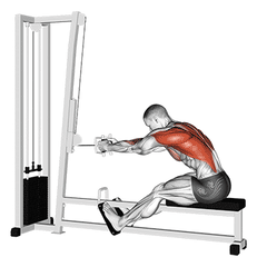 Seated cable row
