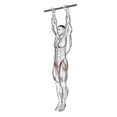 Hanging leg raise