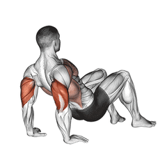 Dips