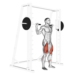 Smith machine squat