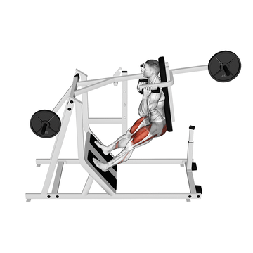 Animatie: zo voer je de pendulum squat uit