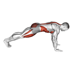 Mountain climbers