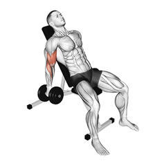 Incline curl