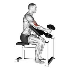 Eén arm, dumbbell