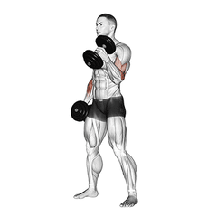 Hammer curl