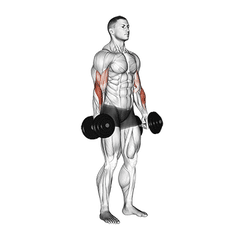 Met dumbbells