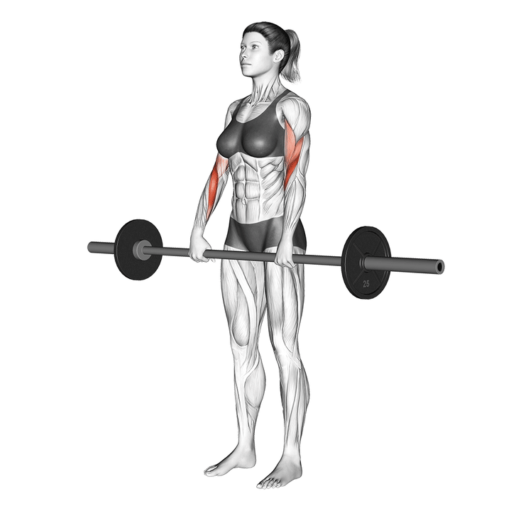 Animatie van de reverse curl, uitgevoerd door een vrouw