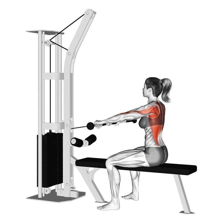 Animatie van de seated cable row, uitgevoerd door een vrouw