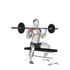 Met barbell
