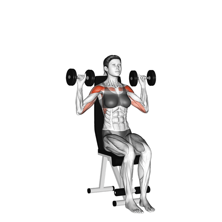 Animatie van de shoulder press, uitgevoerd door een vrouw
