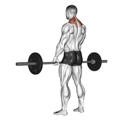 Met barbell