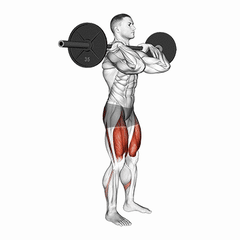 Front squat