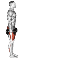 Lunges