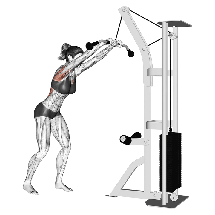 Animatie van de straight-arm pulldown, uitgevoerd door een vrouw