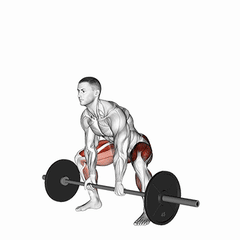 Sumo deadlift